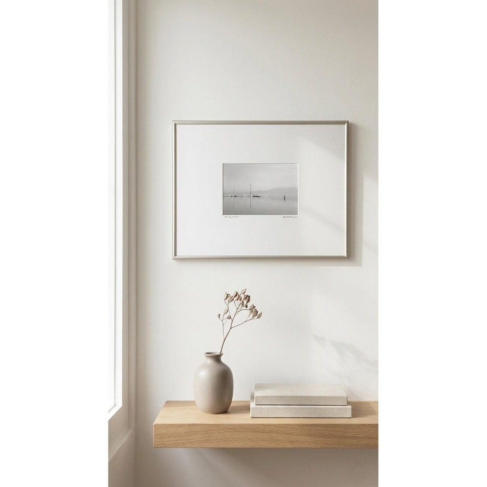 Original James F Danis Salton Sea B&W Photo Art Silver‎ Frame 12x16" Signed '89